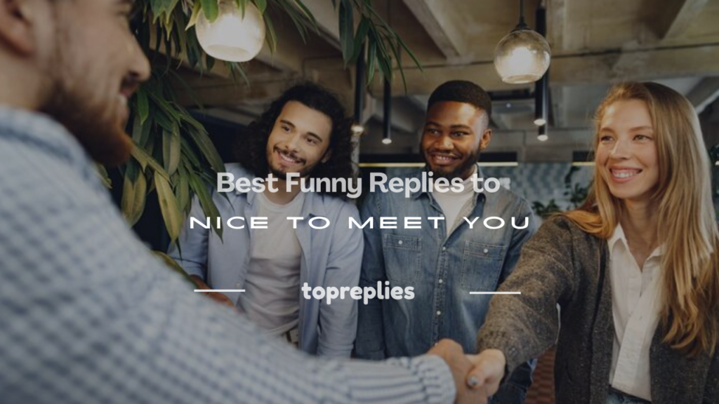 funny reply to nice to meet you