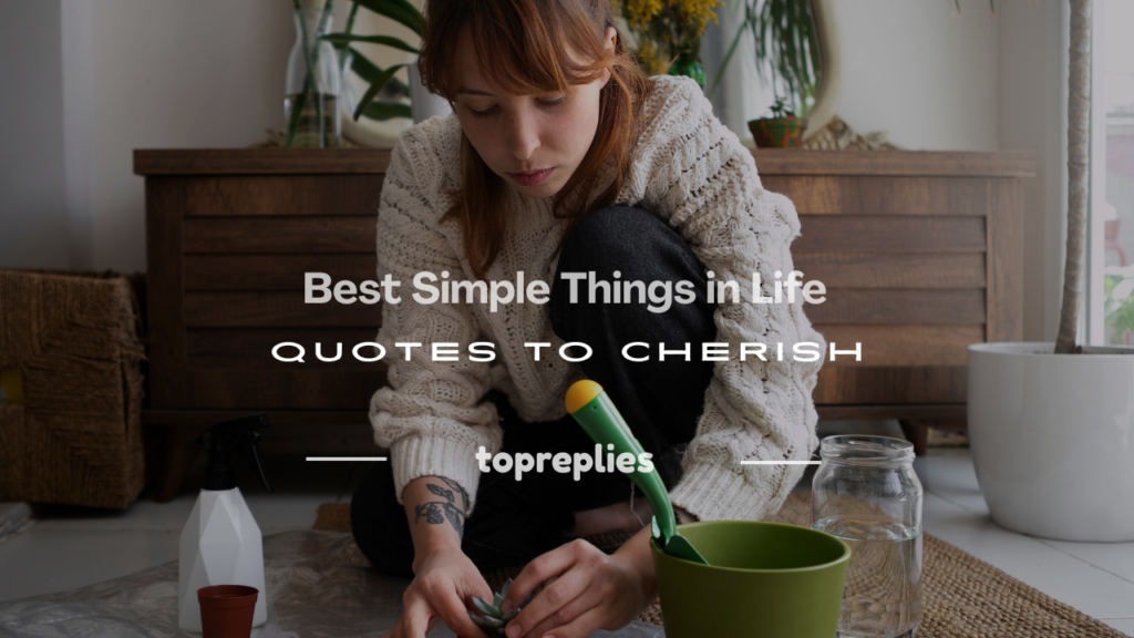 simple things in life quotes